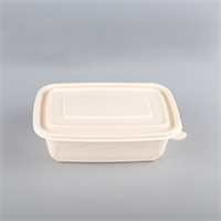 Food container 1500 ml